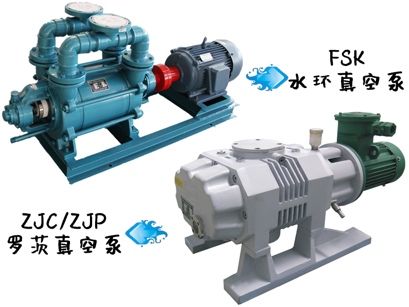 造紙羅茨真空泵和水環(huán)式真空泵的特點